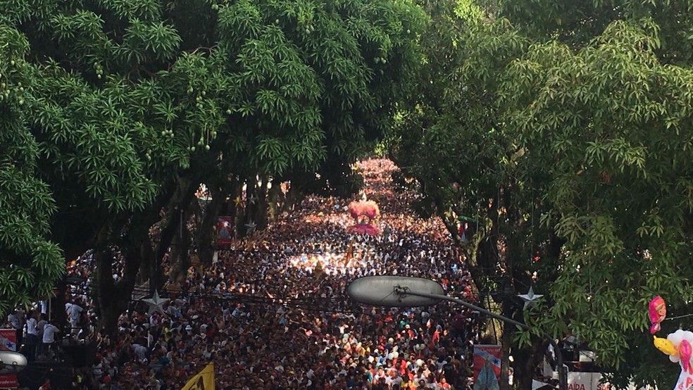 Berlinda com a Imagem Peregrina no túnel de mangueiras, na avenida Presidente Vargas. (Foto: Tarso Sarraf)