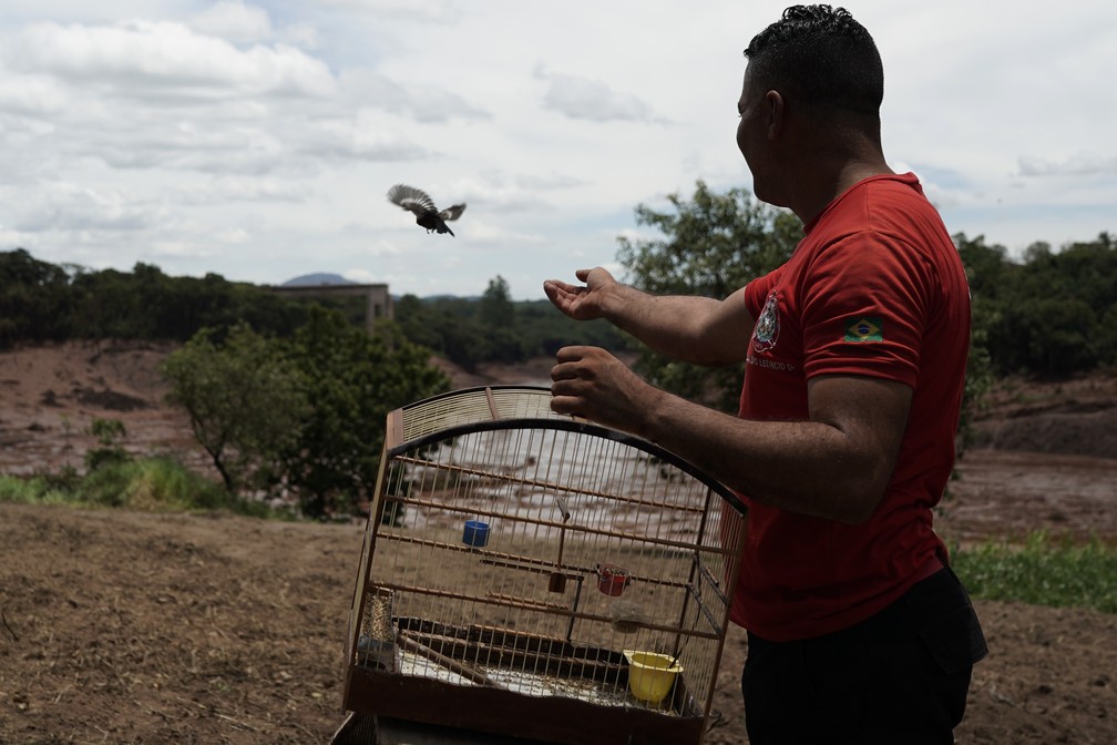 Bombeiro civil Leoncio Valverdes solta um pÃ¡ssaro resgatado de Ã¡rea inundada, dois dias depois do rompimento da barragem da Vale em Brumadinho. â Foto: Leo Correa/AP