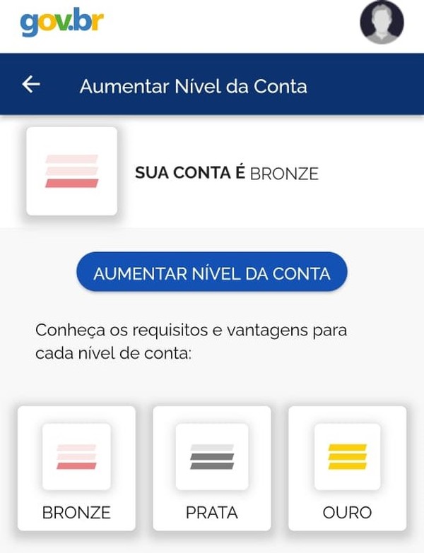 No app, ao fazer o login no gov.br, o cidadão já é informado do nível da conta.  — Foto: Reprodução