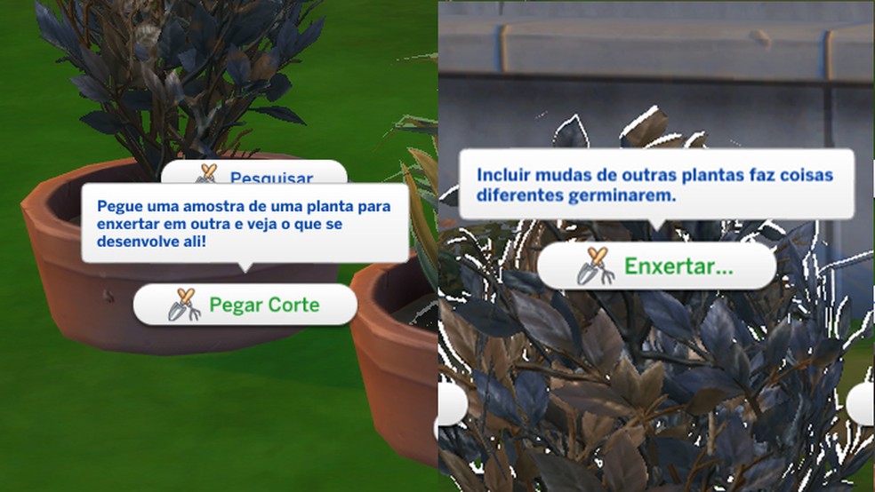 Os Sims podem obter novas espécies de plantas e frutos com enxertos no The Sims 4 — Foto: Reprodução/Tais Carvalho