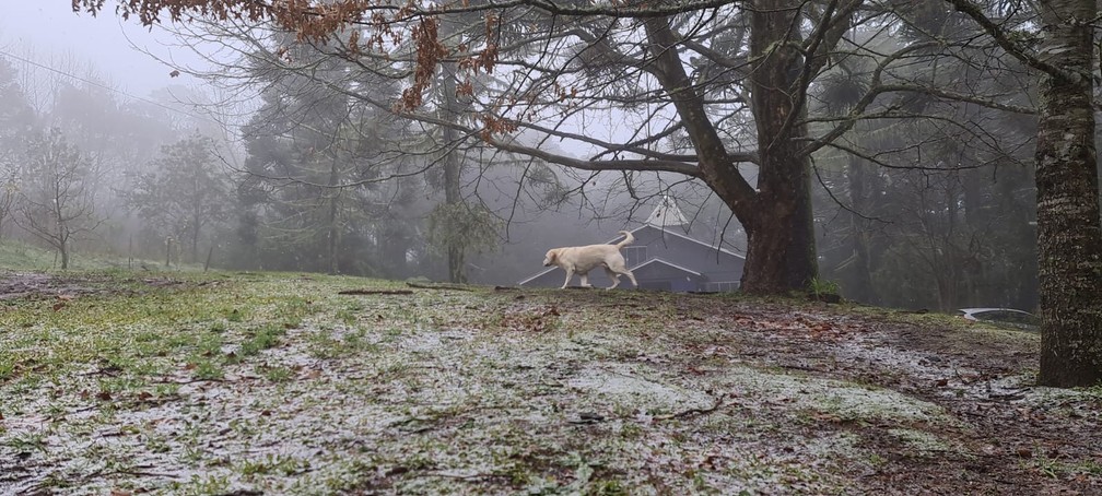 Neve na localidade de Cruzeiro, em São Joaquim (SC) nesta segunda-feira (28) — Foto: Mycchel Leganghi/São Joaquim Online