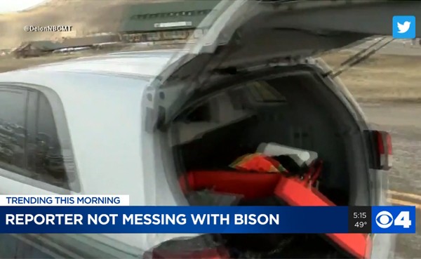 Câmera se jogou no porta-malas aberto de um carro (Foto: Reprodução)