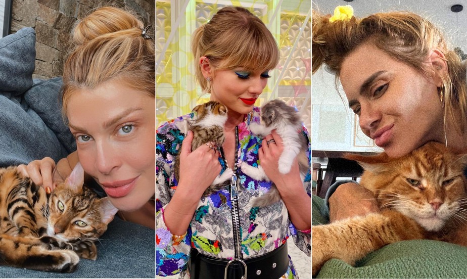 Grazi Massafera, Taylor Swift e Carolina Dieckman: paixão por gatos