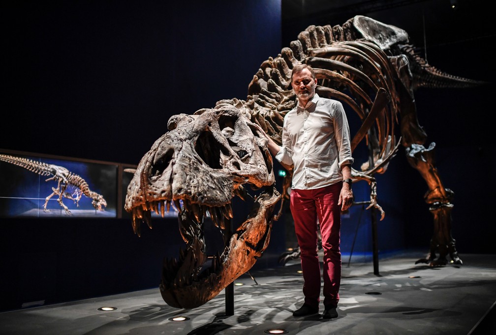 Esqueleto do tiranossauro Rex passa a ser exposto em Paris (Foto: Stephane de Sakutin/AFP)