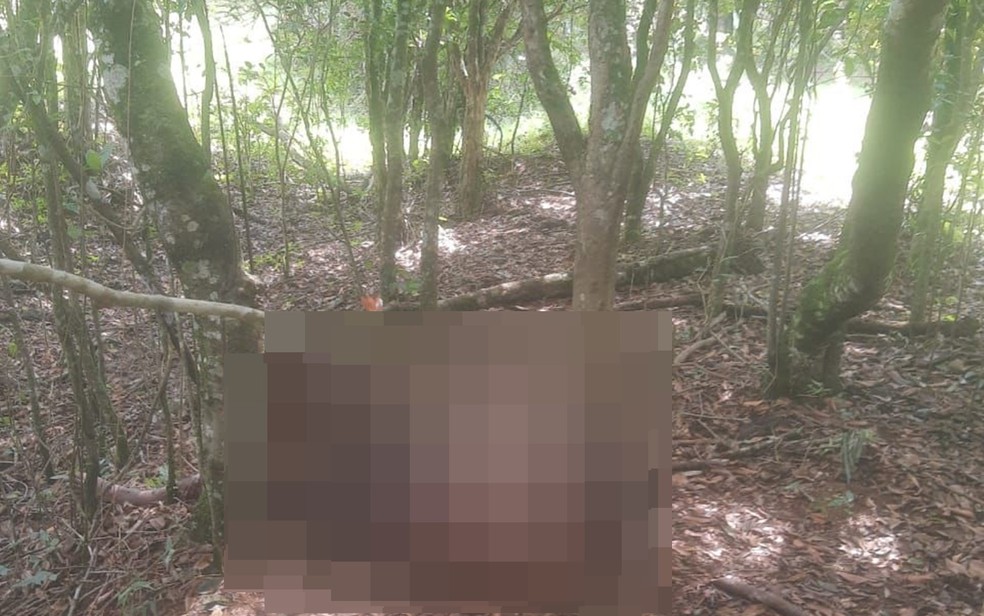 Corpo de homem é encontrado amarrado com perfurações em Pouso Alegre, MG — Foto: Redes sociais