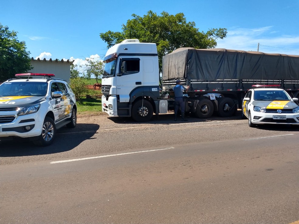 Apreensão ocorreu durante fiscalização em rodovia, em Rosana — Foto: Cedida/Polícia Rodoviária