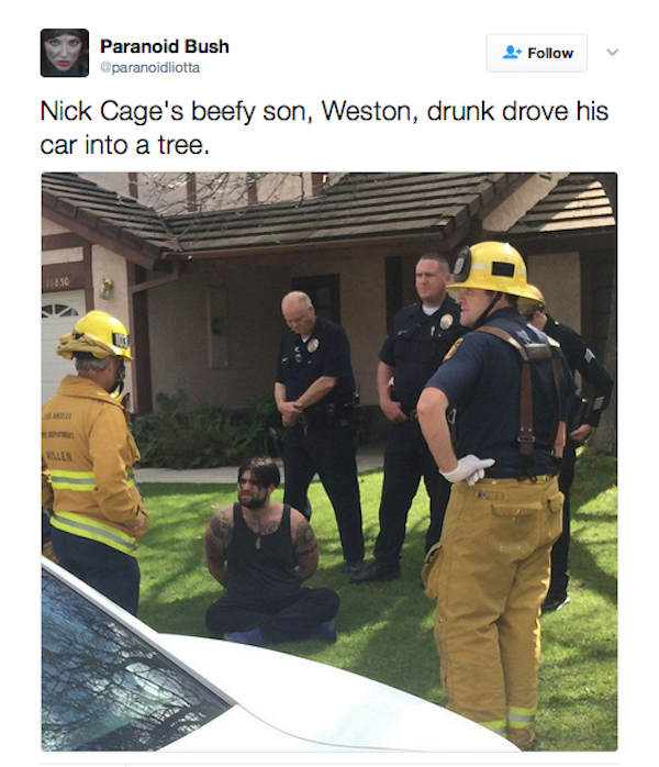 Um registro do acidente causado por Weston Cage, filho de Nicolas Cage (Foto: Twitter)