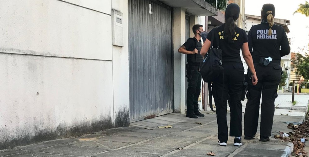 Polícia Federal cumpre mandados em Alagoas, Pernambuco, São Paulo e Sergipe na Operação Seguro-Mamata — Foto: Ascom/PF