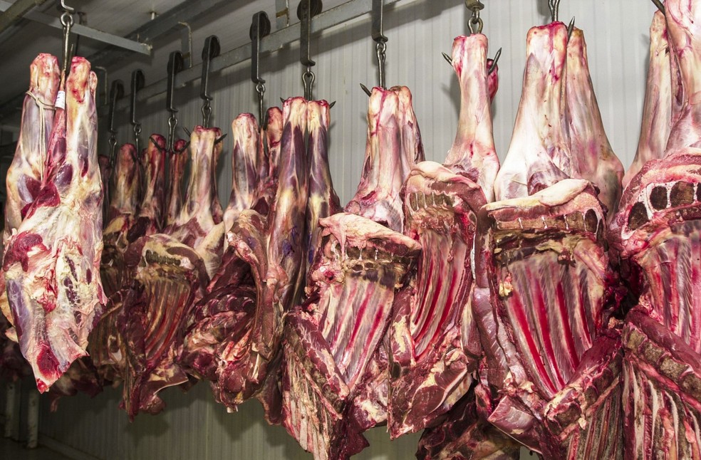 Abate de animais apresentou crescimento de 5,24% em relação a 2018. — Foto: Foto: Agência Brasil
