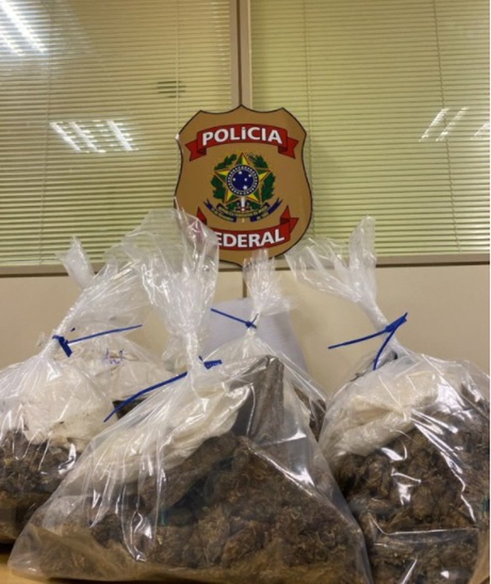 Aproximadamente 12 kg de substância análoga à maconha foram apreendidas com suspeitos. — Foto: Divulgação/Polícia Federal