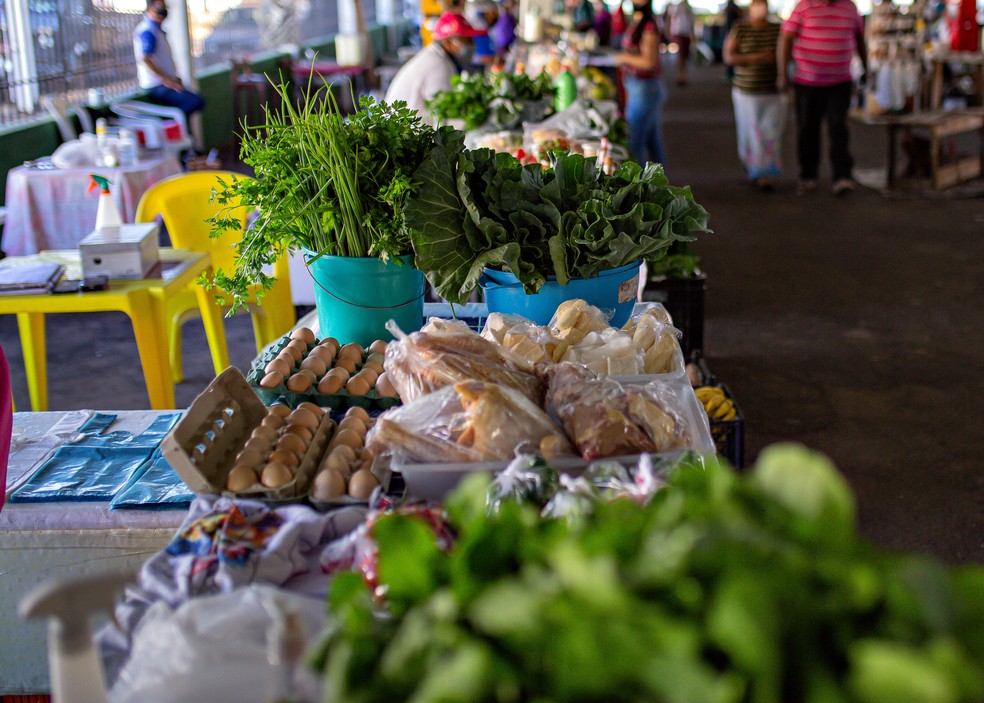 Produção da agricultura familiar abastece as principais feiras e mercados de Primavera do Leste — Foto: Divulgação