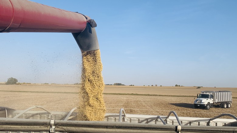 Fim da safra de soja e milho nos EUA (Foto: Joana Colussi/Globo Rural)