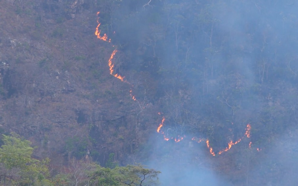Incêndio na Chapa do Veadeiros, Goiás — Foto: Reprodução/TV Anhanguera