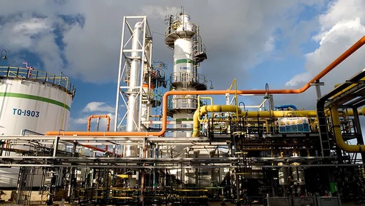 Braskem soars over 40% on news of interest in UAE oil company |  Companies