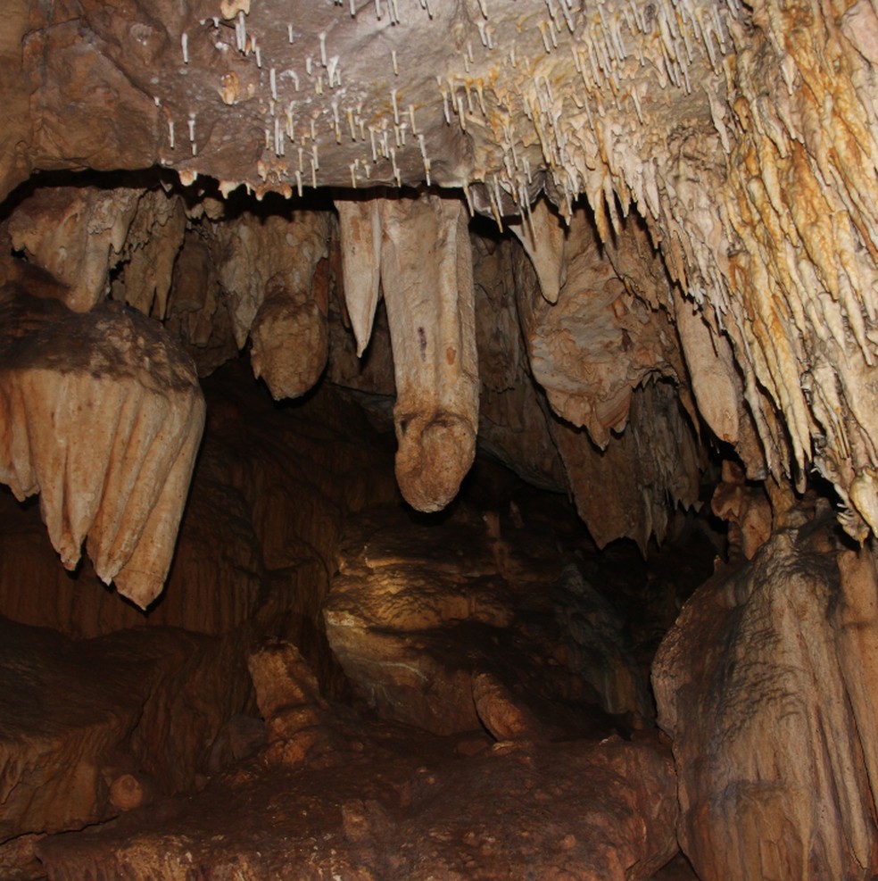 Caverna do Jabuti em Curvelândia (MT) está aberta para visitação — Foto: Espeleoturismo Curvelândia