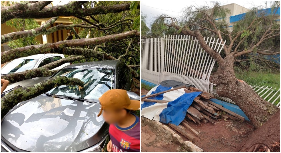 Tempestade causa estragos em Coronel Macedo (SP) — Foto: Nosor Nogueira/Prefeitura de Coronel Macedo