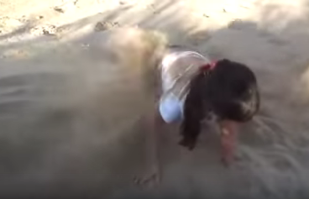 Menina percebe que irritou o cachorro e acha graça da reação dele  (Foto: reprodução Youtube)