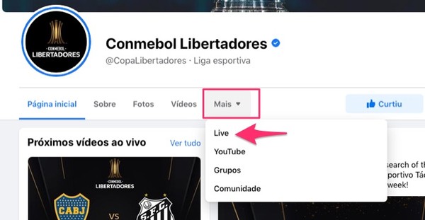 Sao Paulo X Rentistas Ao Vivo Onde Assistir Ao Jogo Da Libertadores Streaming Techtudo