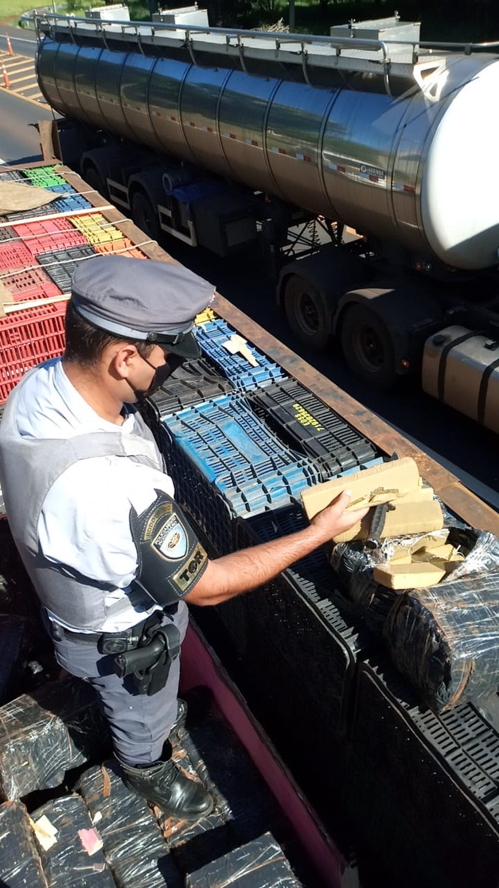 Grande quantidade de droga foi apreendida em fundo falso de carga em Florínea (SP) nesta sexta (19) — Foto: Polícia Civil/ Divulgação