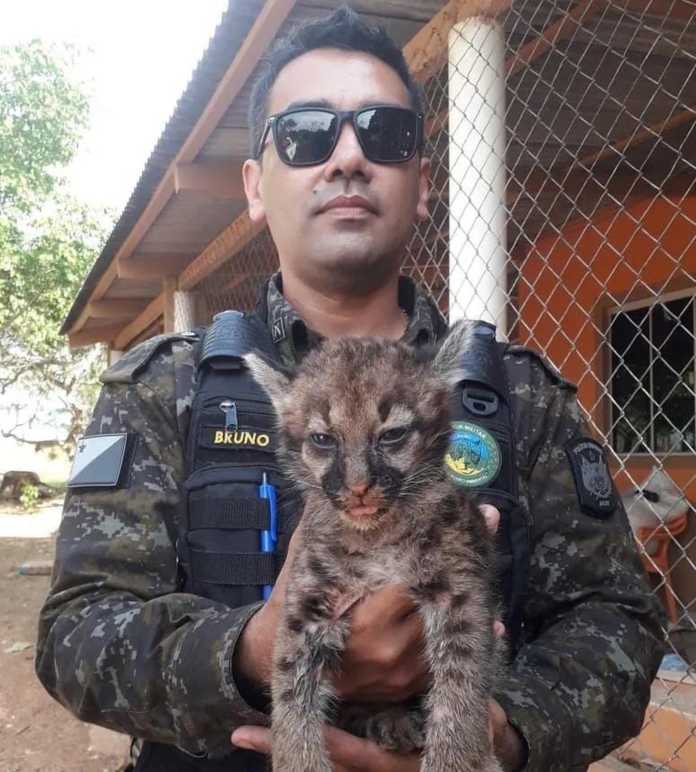 Animal foi levado ao Centro de Triagem de Animais Silvestres — Foto: Arquivo/PM-AC