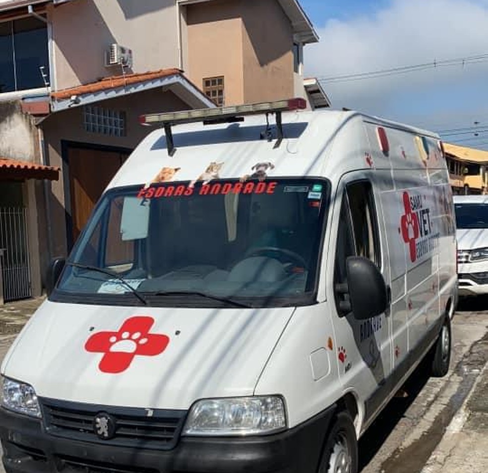 Van com gatos foi roubada e animais levados — Foto: Reprodução/Facebook