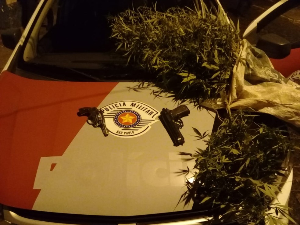 Polícia apreendeu pés de maconha, porções da droga e armas — Foto: Polícia Militar/Divulgação