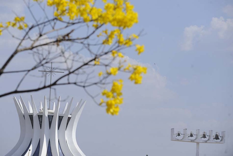 Florada dos Ipês amarelos anunciam o termino da seca no Distrito Federal. — Foto: Agência Brasil