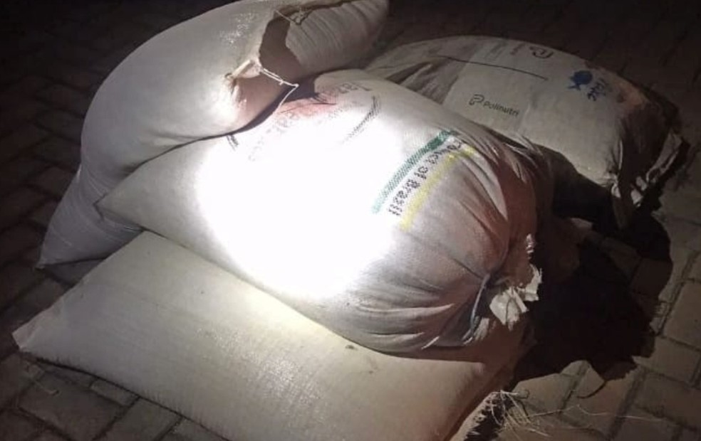 Dupla é presa suspeita de furtar sacas de ração após perseguição policial em Fartura  — Foto: Polícia Militar