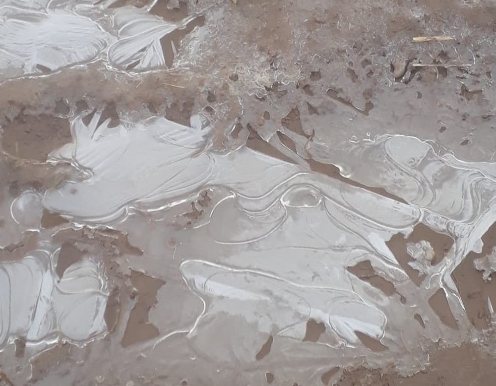 Gelo em São José dos Ausentes — Foto: Geane Martins/arquivo pessoal