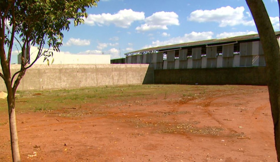 Terreno baldio onde adolescentes foram estupradas, segundo a polícia de Pirassununga (Foto: Wilson Aiello/EPTV)