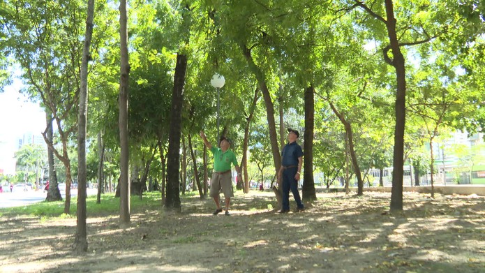 Seu Luiz plantou mais de 200 Ã¡rvores onde mora, no bairro de Boa Viagem, na Zona Sul do Recife â€” Foto: ReproduÃ§Ã£o/TV Globo