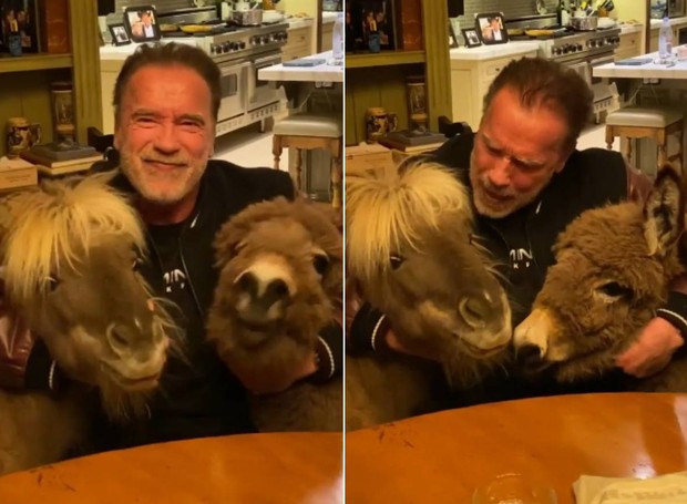 Arnold Schwarzenegger com burro e pônei (Foto: Instagram/ @schwarzenegger/ Reprodução)