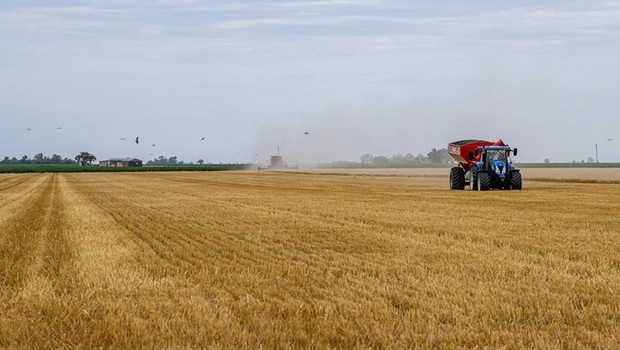 Óleo diesel é essencial para colher e semear na Argentina (Foto: Getty Images via BBC News)