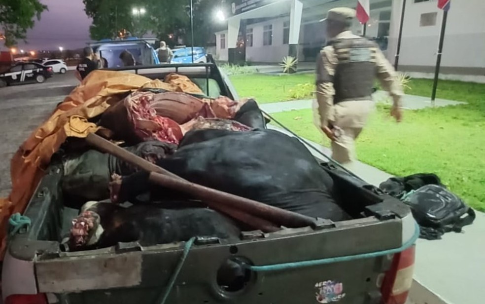 Suspeitos de roubo de gado são presos no interior da Bahia — Foto: Divulgação/PM