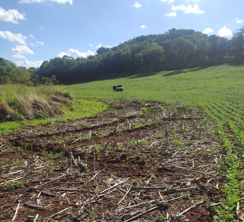 Carro foi abandonado no meio de uma planta&ccedil;&atilde;o &mdash; Foto: Pol&iacute;cia Rodovi&aacute;ria Federa/divulga&ccedil;&atilde;o