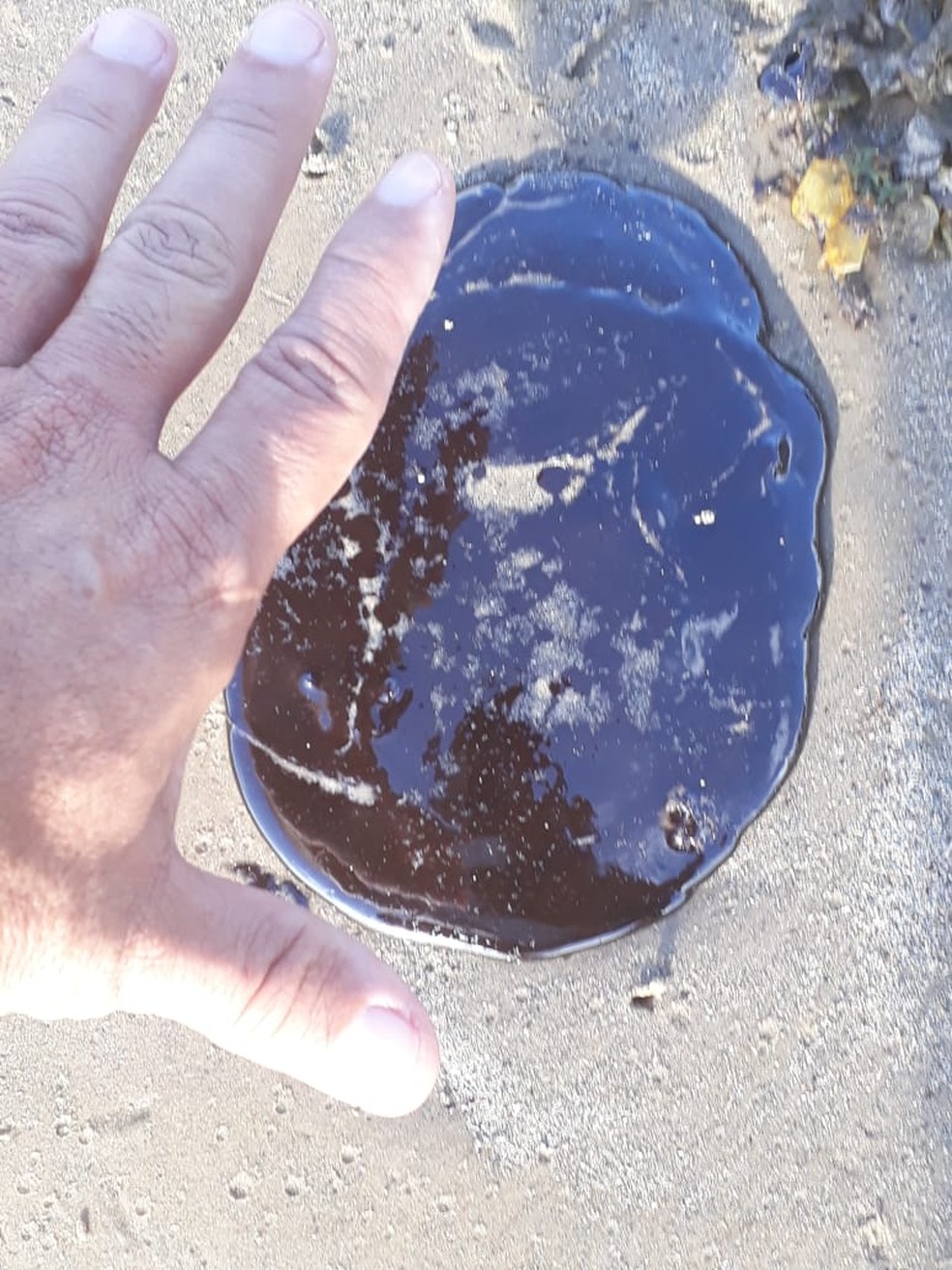 Manchas apareceram mais rígidas e em formato de disquete em Piaçabuçu — Foto: Divulgação/Prefeitura de Piaçabuçu