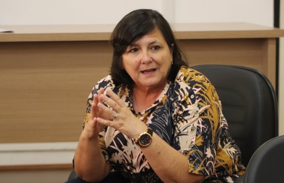 Secretária Municipal de Saúde de Araraquara, Eliana Honain — Foto: Câmara Municipal de Araraquara/Divulgação