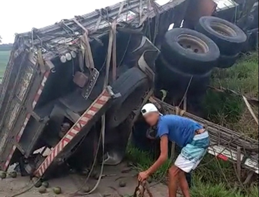Carreta que transportava abacates tombou na Mata Sul de Pernambuco (Foto: Reprodu&ccedil;&atilde;o/WhatsApp)