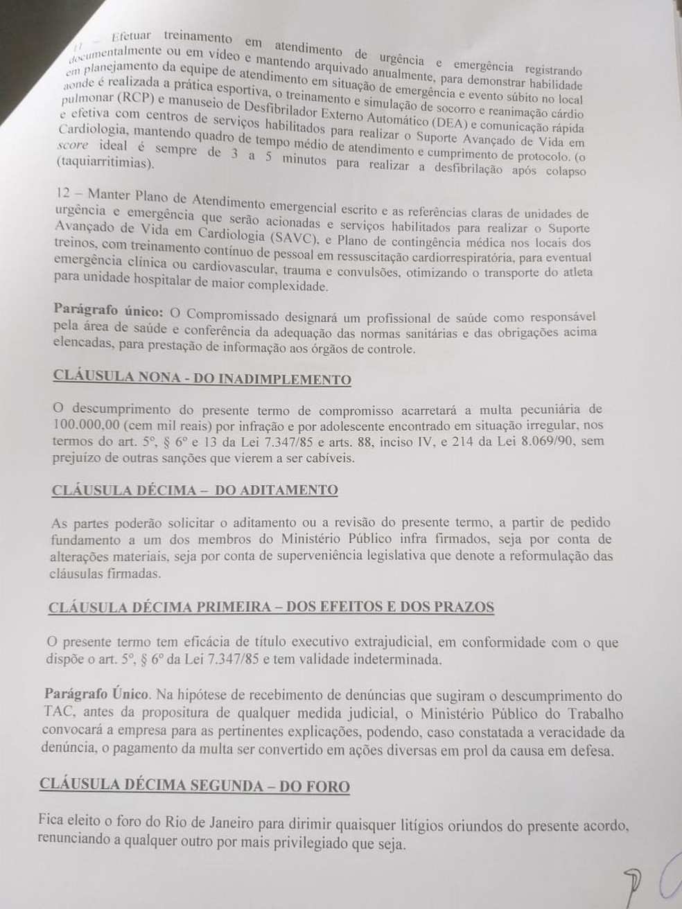 TAC Flamengo Ninho &mdash; Foto: Reprodu&ccedil;&atilde;o