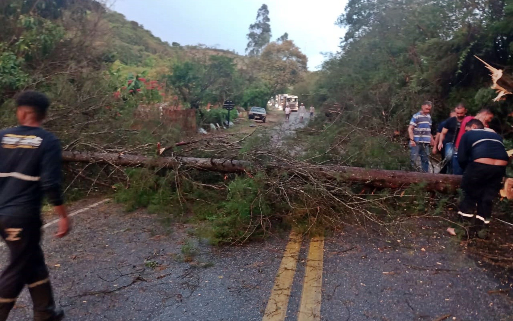 Chuva com ventos fortes derruba árvores e interdita MG-290, em Inconfidentes, MG