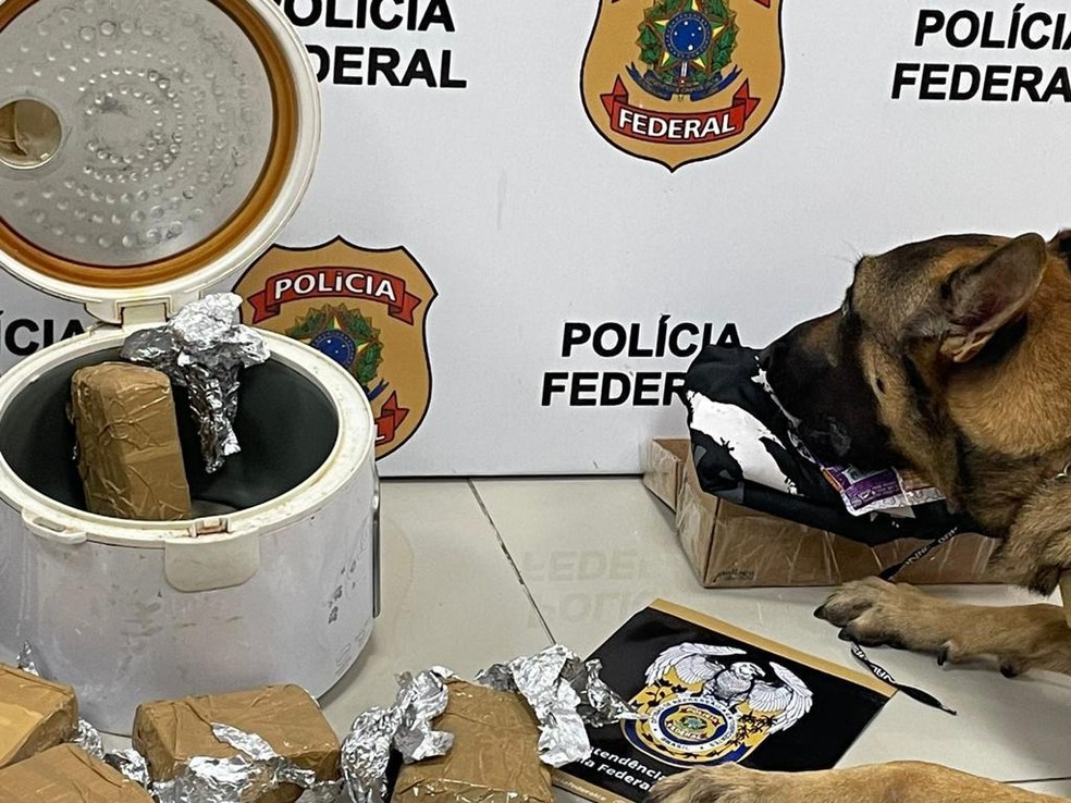 Maconha apreendida pela PF estava escondida em uma panela elétrica. — Foto: Polícia Federal/ Divulgação