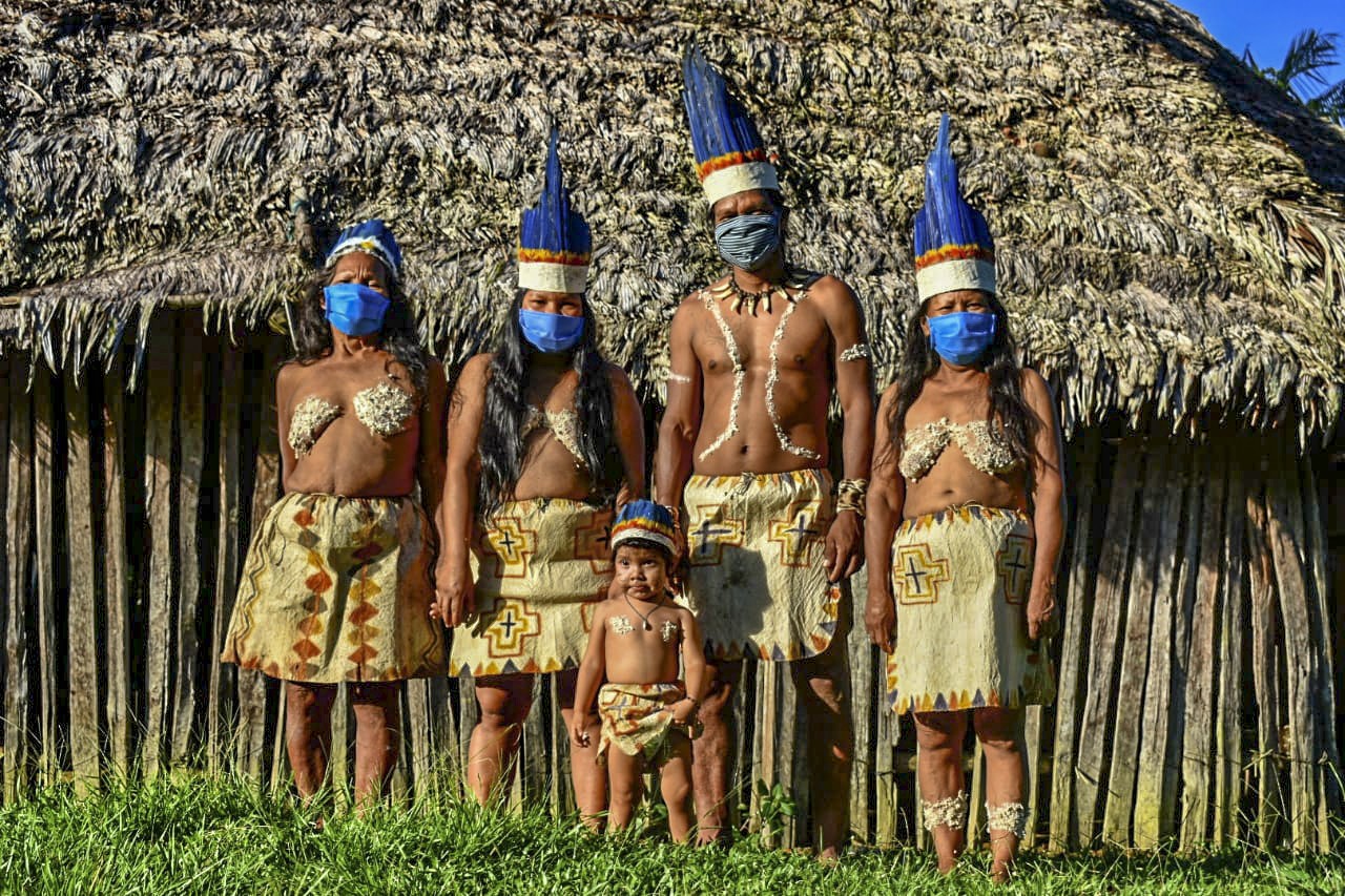 Taxas de contaminação e mortalidade de indígenas por Covid-19 na Amazônia superam média nacional, diz pesquisa thumbnail