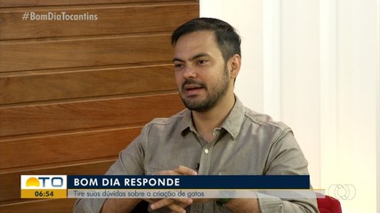Veterinário dá dicas de cuidados com os felinos no Bom Dia Responde