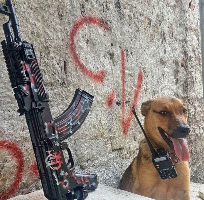 Polícia Civil investiga perfil em rede social que exibe animais ao lado de fuzis