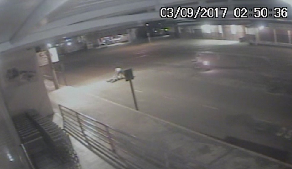 Bêbado, Reginaldo não conseguiu reagir às agressões (Foto: Reprodução)