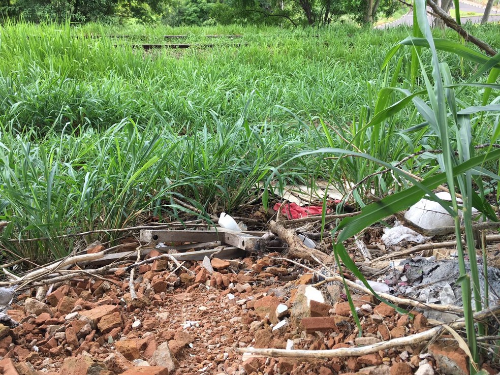 Ferrovia est&aacute; abandonada em Presidente Prudente (Foto: Wellington Roberto/G1)
