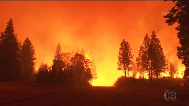 Incêndios florestais destroem centenas de casas na Califórnia