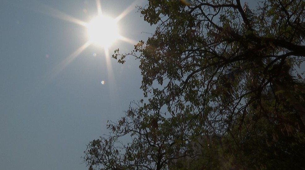 Outubro começa com temperaturas elevadas em Ribeirão Preto (SP) — Foto: Reprodução / EPTV