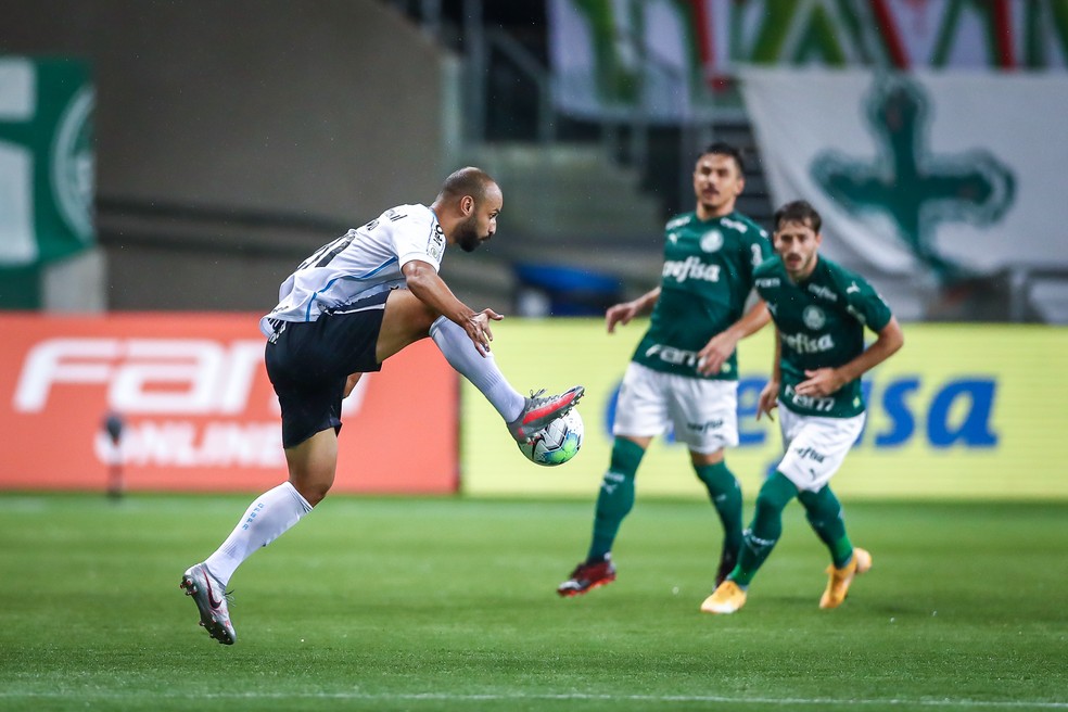 Palmeiras e Grêmio são finalistas da Copa do Brasil 2020 — Foto: Lucas Uebel/Grêmio