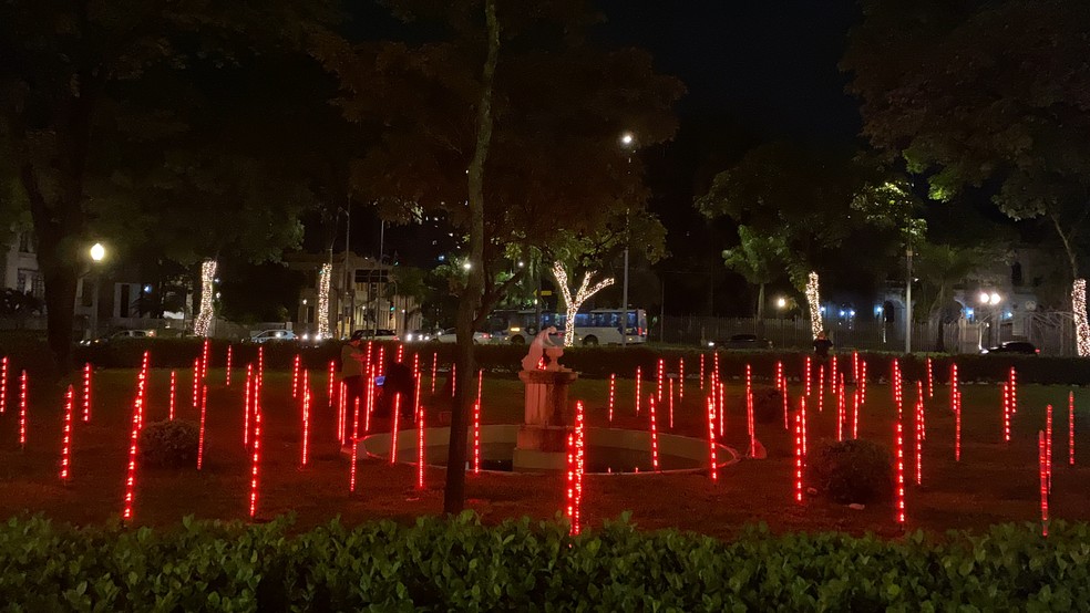 Iluminação de Natal é inaugurada na Praça da Liberdade; FOTOS | Minas  Gerais | G1